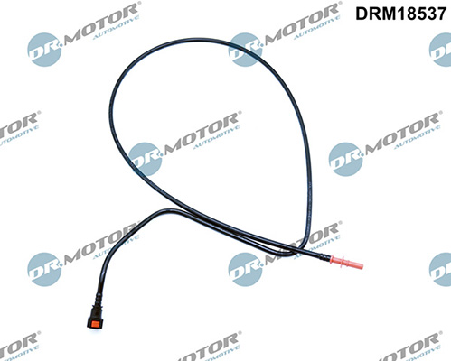 LIZARTE DRM18537 LIZARTE DRM18537