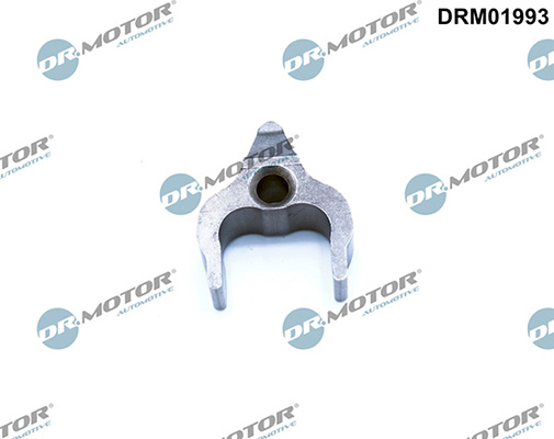 LIZARTE DRM01993