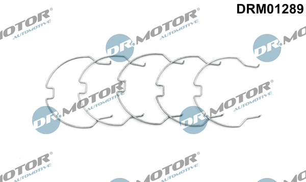LIZARTE DRM01289