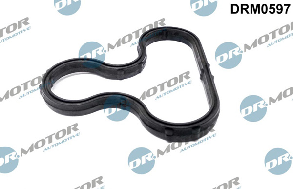 LIZARTE DRM0597 LIZARTE DRM0597