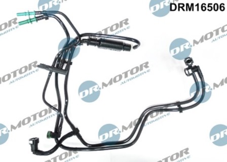 LIZARTE DRM16506