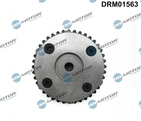 LIZARTE DRM01563 LIZARTE DRM01563