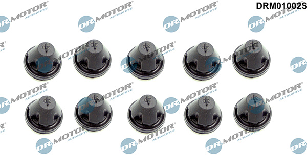 LIZARTE DRM01002S LIZARTE DRM01002S
