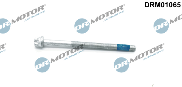 LIZARTE DRM01065 LIZARTE DRM01065