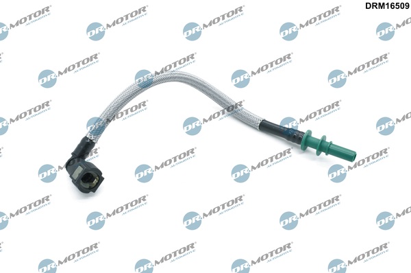 LIZARTE DRM16509 LIZARTE DRM16509