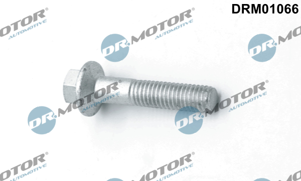 LIZARTE DRM01066 LIZARTE DRM01066