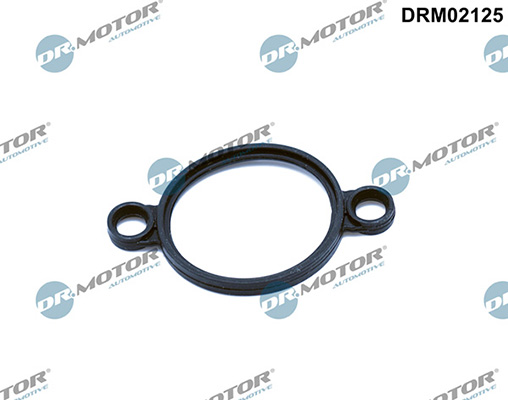 LIZARTE DRM02125 LIZARTE DRM02125