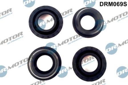 LIZARTE DRM069S LIZARTE DRM069S
