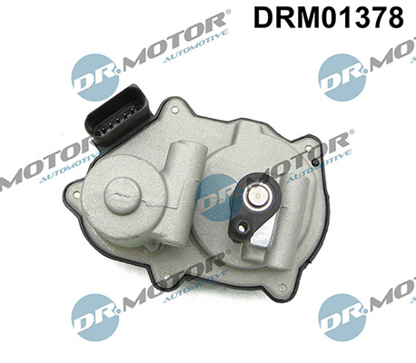 LIZARTE DRM01378