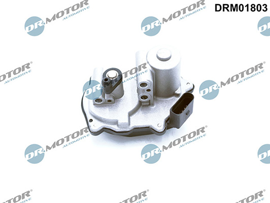 LIZARTE DRM01803