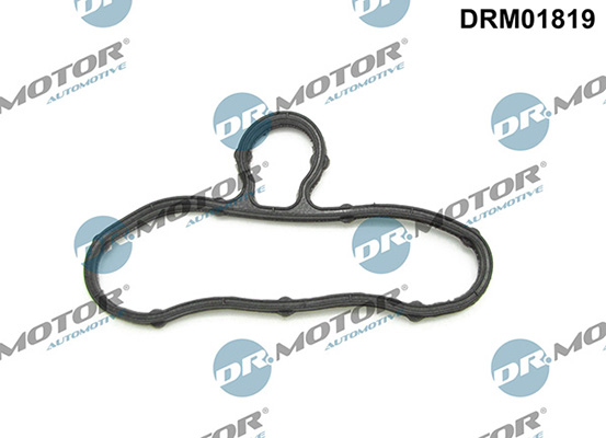 LIZARTE DRM01819 LIZARTE DRM01819