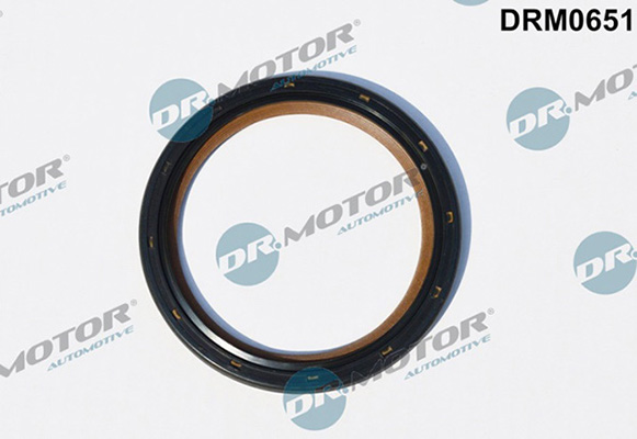 LIZARTE DRM0651 LIZARTE DRM0651