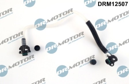 LIZARTE DRM12507
