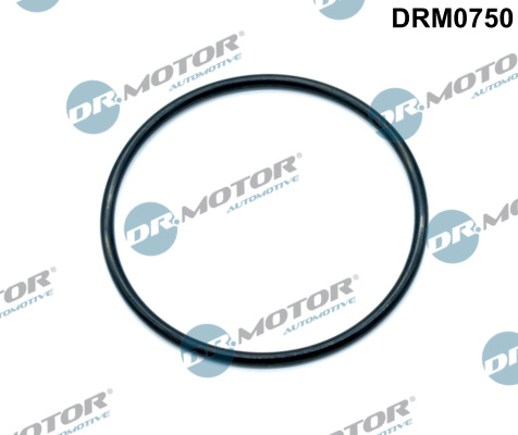 LIZARTE DRM0750 LIZARTE DRM0750