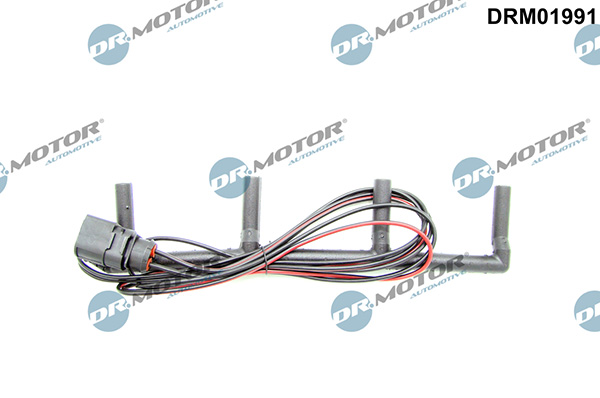 LIZARTE DRM01991