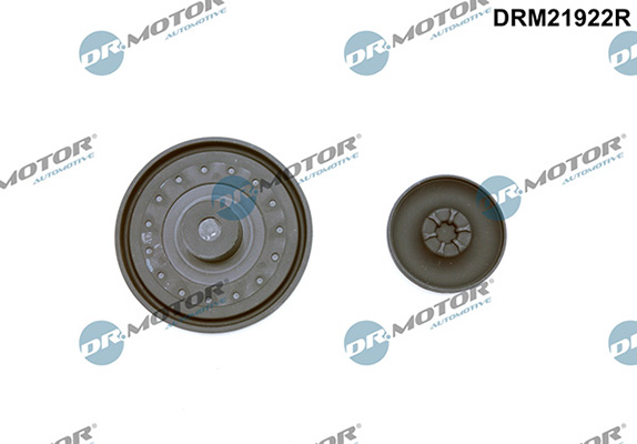 LIZARTE DRM21922R LIZARTE DRM21922R