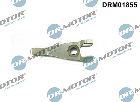 LIZARTE DRM01855