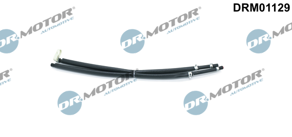 LIZARTE DRM01129 LIZARTE DRM01129