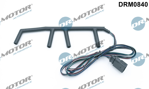 LIZARTE DRM0840