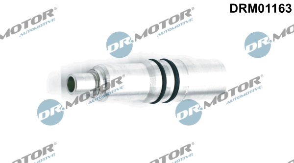 LIZARTE DRM01163