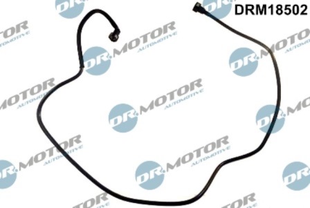 LIZARTE DRM18502