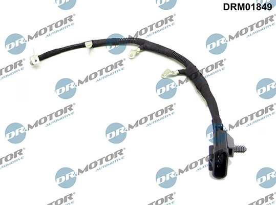 LIZARTE DRM01849