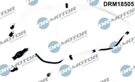 LIZARTE DRM18505 LIZARTE DRM18505