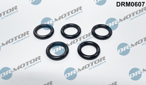 LIZARTE DRM0607