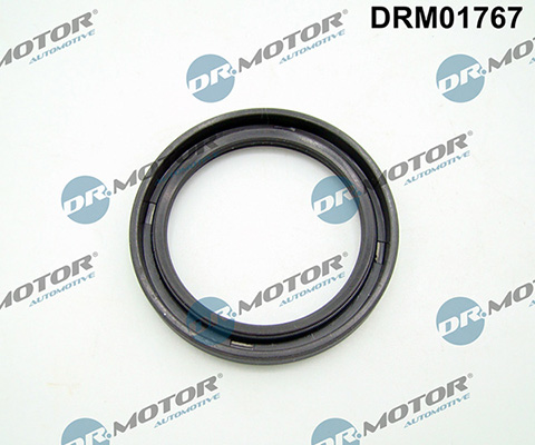 LIZARTE DRM01767