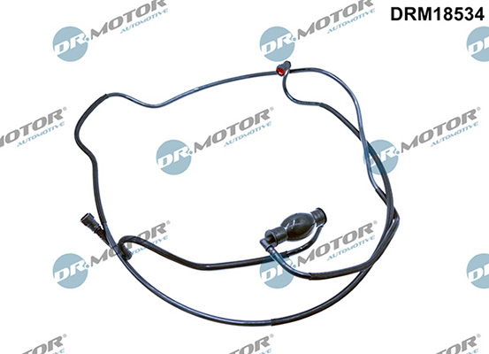 LIZARTE DRM18534 LIZARTE DRM18534