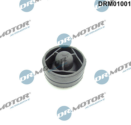 LIZARTE DRM01001 LIZARTE DRM01001