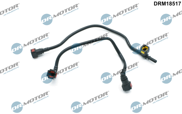 LIZARTE DRM18517