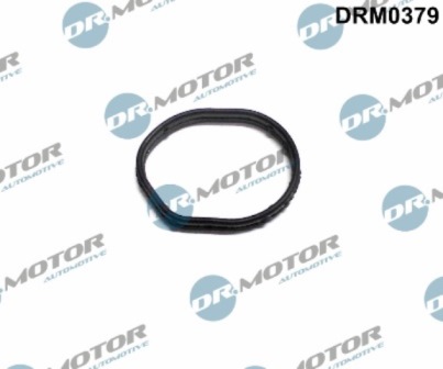 LIZARTE DRM0379 LIZARTE DRM0379