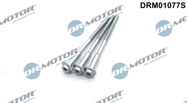 LIZARTE DRM01077S