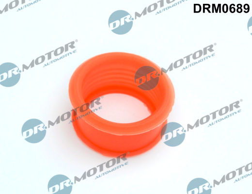 LIZARTE DRM0689