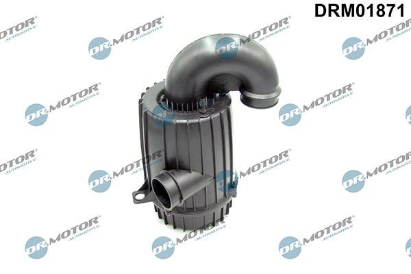 LIZARTE DRM01871