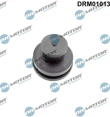 LIZARTE DRM01013 LIZARTE DRM01013