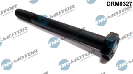LIZARTE DRM0327