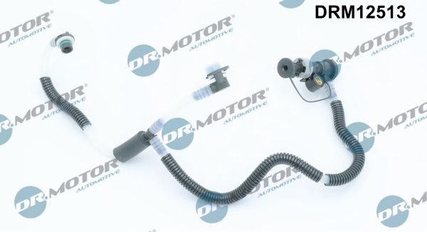 LIZARTE DRM12513