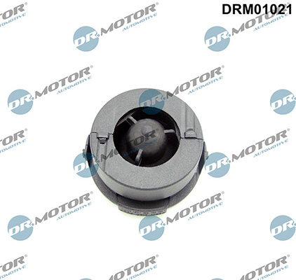 LIZARTE DRM01021 LIZARTE DRM01021