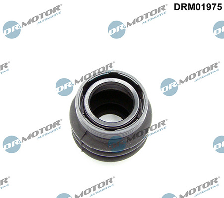 LIZARTE DRM01975 LIZARTE DRM01975