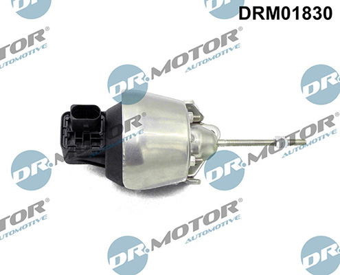LIZARTE DRM01830 LIZARTE DRM01830