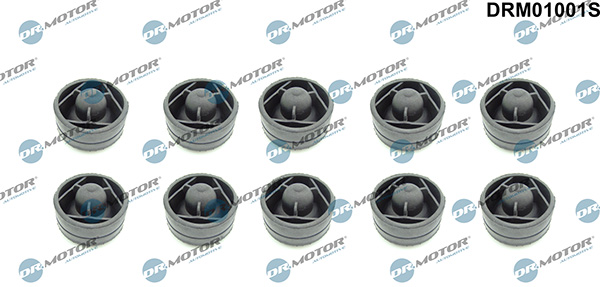 LIZARTE DRM01001S LIZARTE DRM01001S