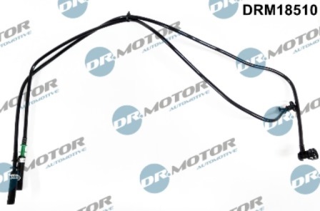LIZARTE DRM18510