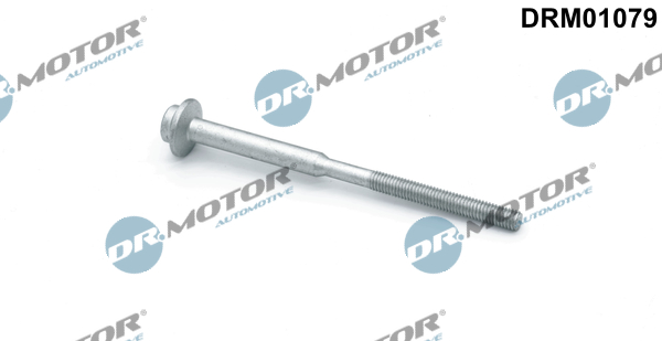 LIZARTE DRM01079 LIZARTE DRM01079