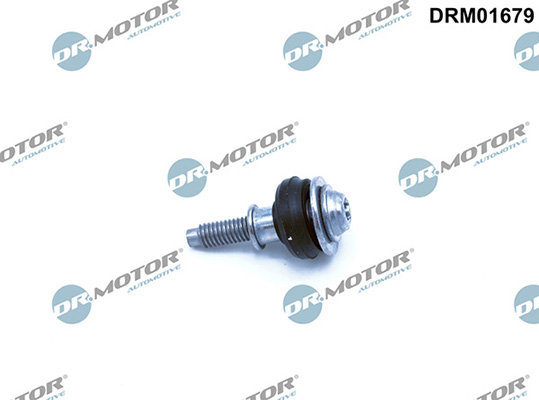 LIZARTE DRM01679 LIZARTE DRM01679