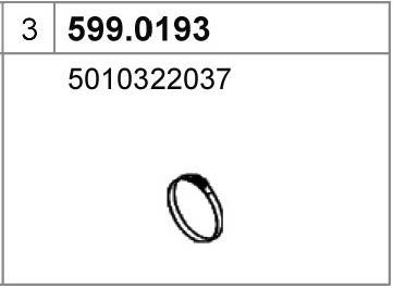 ASSO 599.0193