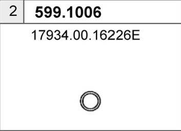 ASSO 599.1006