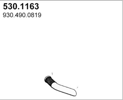 ASSO 530.1163 ASSO 530.1163