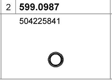 ASSO 599.0987